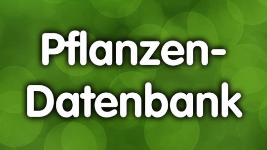 csm_terminal_pflanzendatenbank_8b27f0c737.png